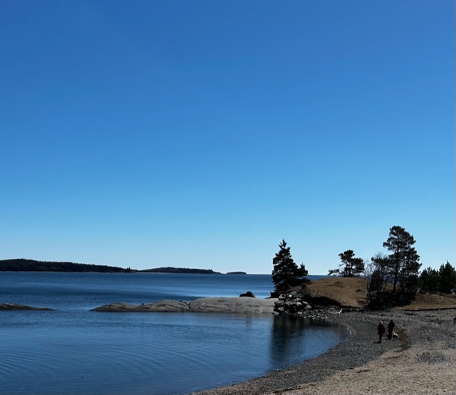 Understanding the Rural and Northern Immigration Pilot Program